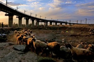 Photograph by Cai Zengle/Xinhua/Zuma Press